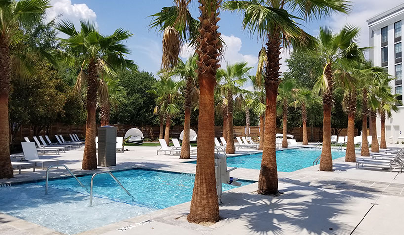 Hotel Indigo Debuts in Two States; Plus More U.S. Openings Hotel Indigo Mount Pleasant