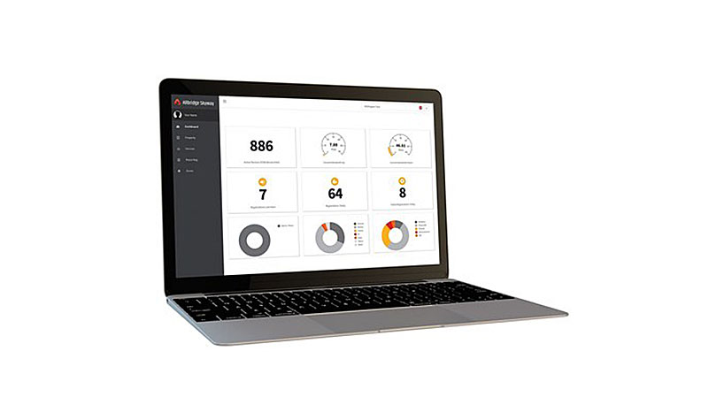 Partner News Allbridge has introduced Skyway.
